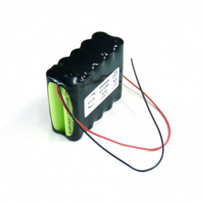 Batterie Nimh 10x AAA 10S1P ST2 12V 800mAh F
